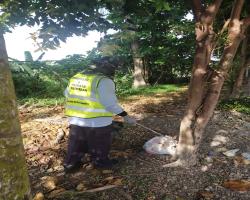 JALAN SUNGAI UJONG, SEREMBAN