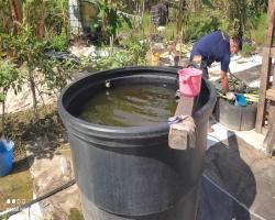 KERJA-KERJA LARVACIDING  DAN SOURCE REDUCTION 