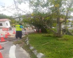 JALAN BUKIT MELATI,NILAI