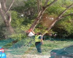 KERJA-KERJA MENURUNKAN POSTER, BUNTING, BANNER HARAM & TAMAT TEMPOH