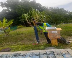JALAN BUKIT MELATI,NILAI