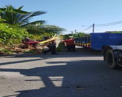 TAMAN CASUARINA, AMPANGAN.