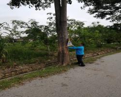 KERJA-KERJA MENURUNKAN POSTER, BUNTING, BANNER HARAM & TAMAT TEMPOH