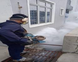 AKTIVITI KAWALAN DEMAM DENGGI DALAM KAWASAN MBS