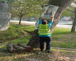 KERJA-KERJA MENURUNKAN POSTER, BUNTING, BANNER HARAM & TAMAT TEMPOH