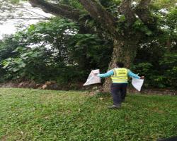 KERJA-KERJA MENURUNKAN POSTER, BUNTING, BANNER HARAM & TAMAT TEMPOH