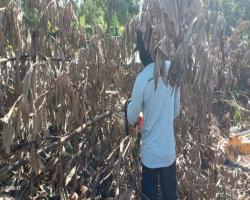 PADANG TAMAN PINGGIRAN SENAWANG, SEREMBAN