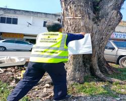 KERJA-KERJA MENURUNKAN POSTER, BUNTING, BANNER HARAM & TAMAT TEMPOH