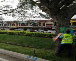 KERJA-KERJA MENURUNKAN POSTER, BUNTING, BANNER HARAM & TAMAT TEMPOH