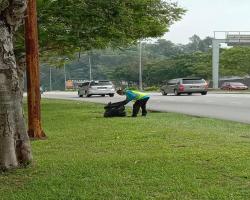 KERJA-KERJA PENYELENGGARAAN RUMPUT