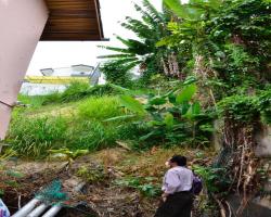 LAWATAN TURUN PADANG DATUK BANDAR KE TEMIANG