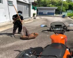 OPERASI MENYELAMATKAN HAIWAN TERBIAR (ANJING)