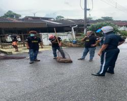 MENYELAMATKAN HAIWAN TERBIAR (ANJING)