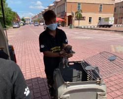 OPERASI MENYELAMATKAN HAIWAN TERBIAR (ANJING)