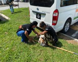 OPERASI MENYELAMATKAN HAIWAN TERBIAR (ANJING)