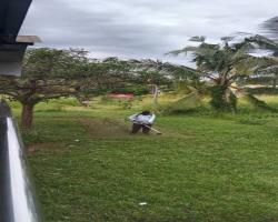 KERJA-KERJA PENYELENGGARAAN RUMPUT