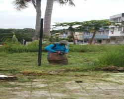 KERJA-KERJA PENYELENGGARAAN RUMPUT