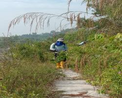 KERJA-KERJA PEMBERSIHAN KAWASAN