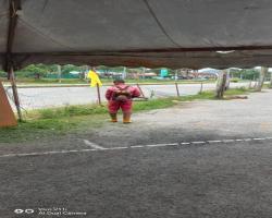 KERJA-KERJA PENYELENGGARAAN RUMPUT