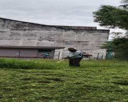 KERJA-KERJA PENYELENGGARAAN RUMPUT