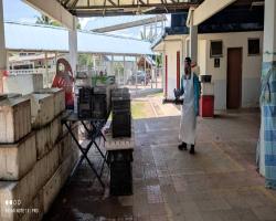 PASAR AWAM MBS, RANTAU