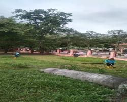 KERJA-KERJA PENYELENGGARAAN RUMPUT