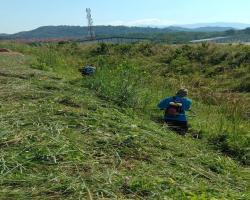 KERJA-KERJA PENYELENGGARAAN RUMPUT