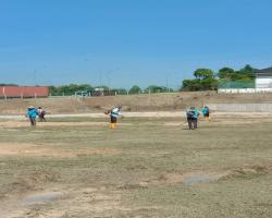 KERJA-KERJA PENYELENGGARAAN RUMPUT