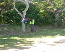 KERJA-KERJA MEMBUKA PAPAN IKLAN BANTING BANNER HARAM SISA BINAAN