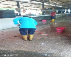 PASAR AWAM TAMAN SEMARAK