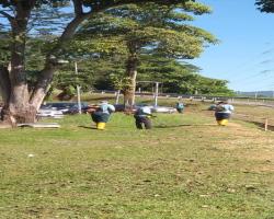 KERJA-KERJA PENYELENGGARAAN RUMPUT