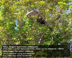 HARIAN PEMANTAUAN MAJLIS BANDARAYA SEREMBAN 