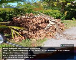 HARIAN PEMANTAUAN MAJLIS BANDARAYA SEREMBAN 