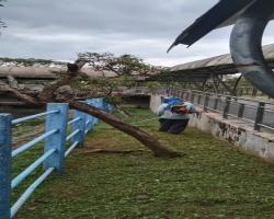 KERJA-KERJA PEMOTONGAN RUMPUT
