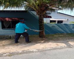  MEMBUKA PAPAN IKLAN, BUNTING ,BANNER HARAM 