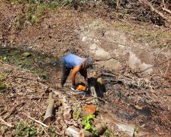  PEMBERSIHAN LONGKANG MONSUN SECARA ONE OFF