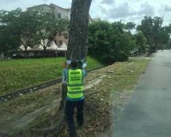 MEMBUKA PAPAN IKLANBUNTING BANNER HARAM