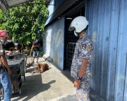 OPS MENYELAMATKAN HAIWAN (ANJING TIDAK BERTUAN)