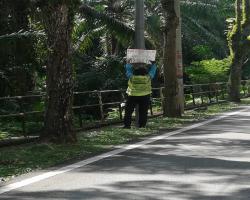 MEMBUKA PAPAN IKLAN/BUNTING/BANNER HARAM