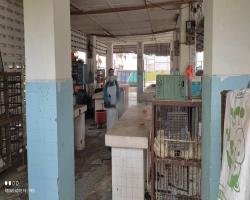 PASAR AWAM MBS, PEKAN MANTIN