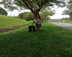 KERJA-KERJA MEMBUKA PAPAN IKLAN/BUNTING/BANNER HARAM 
