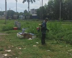 KERJA-KERJA PEMOTONGAN RUMPUT