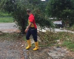 KERJA-KERJA PEMOTONGAN RUMPUT