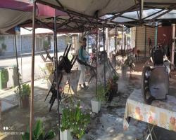 GERAI MBS, TAMAN CEMPAKA 