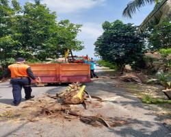 TAMAN BUKTI, AMPANGAN