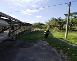 KERJA-KERJA PENYELENGGARAAN RUMPUT