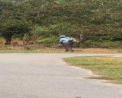 KERJA-KERJA PENYELENGGARAAN RUMPUT