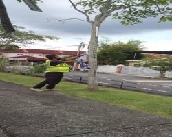 KERJA-KERJA MEMBUKA PAPAN IKLAN/BUNTING/BANNER HARAM 