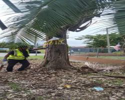 KERJA-KERJA MEMBUKA PAPAN IKLAN/BUNTING/BANNER HARAM 
