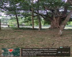 PEMBERSIHAN TANAH TERBIAR